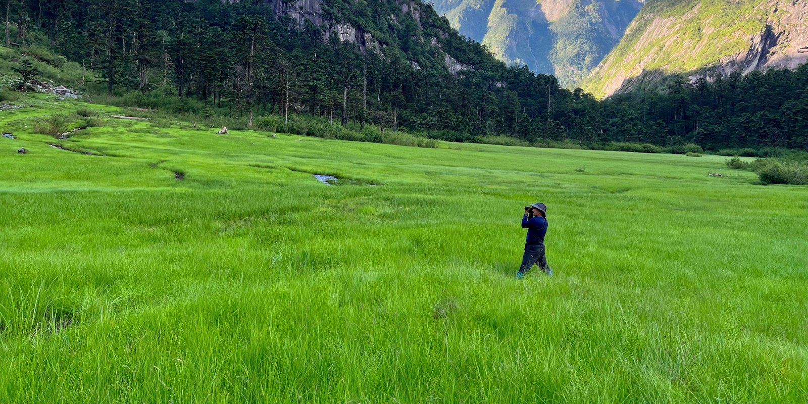 Dibang Valley landscape near Anini